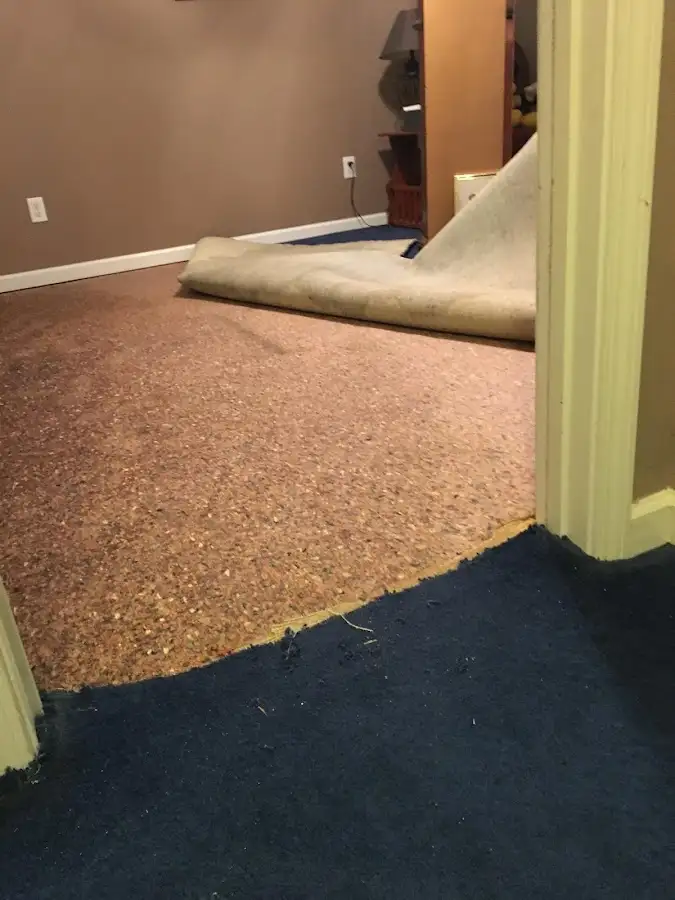 Carpet pad removal revealing water damage during Drying & Dehumidification in Minot
