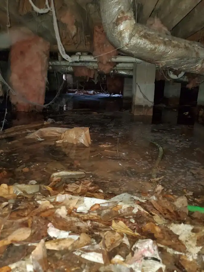 Crawl space flood assessment for Leak Detection & Repair in Minot